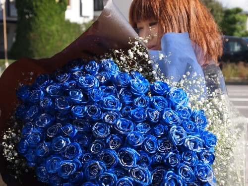 青いバラの花言葉は可能性